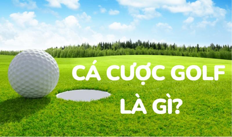 Đánh giá về cá cược Golf tại QH88